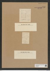 Diatomeae indet. Zeichnungen Sammlung Grunow Nr. 7576 (NHMW-BOT-W0376728)